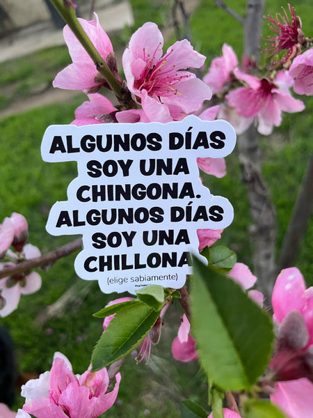 Algunos días … stickers
